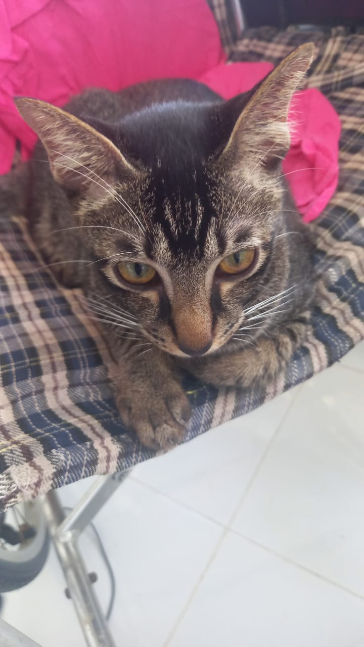 LaLa