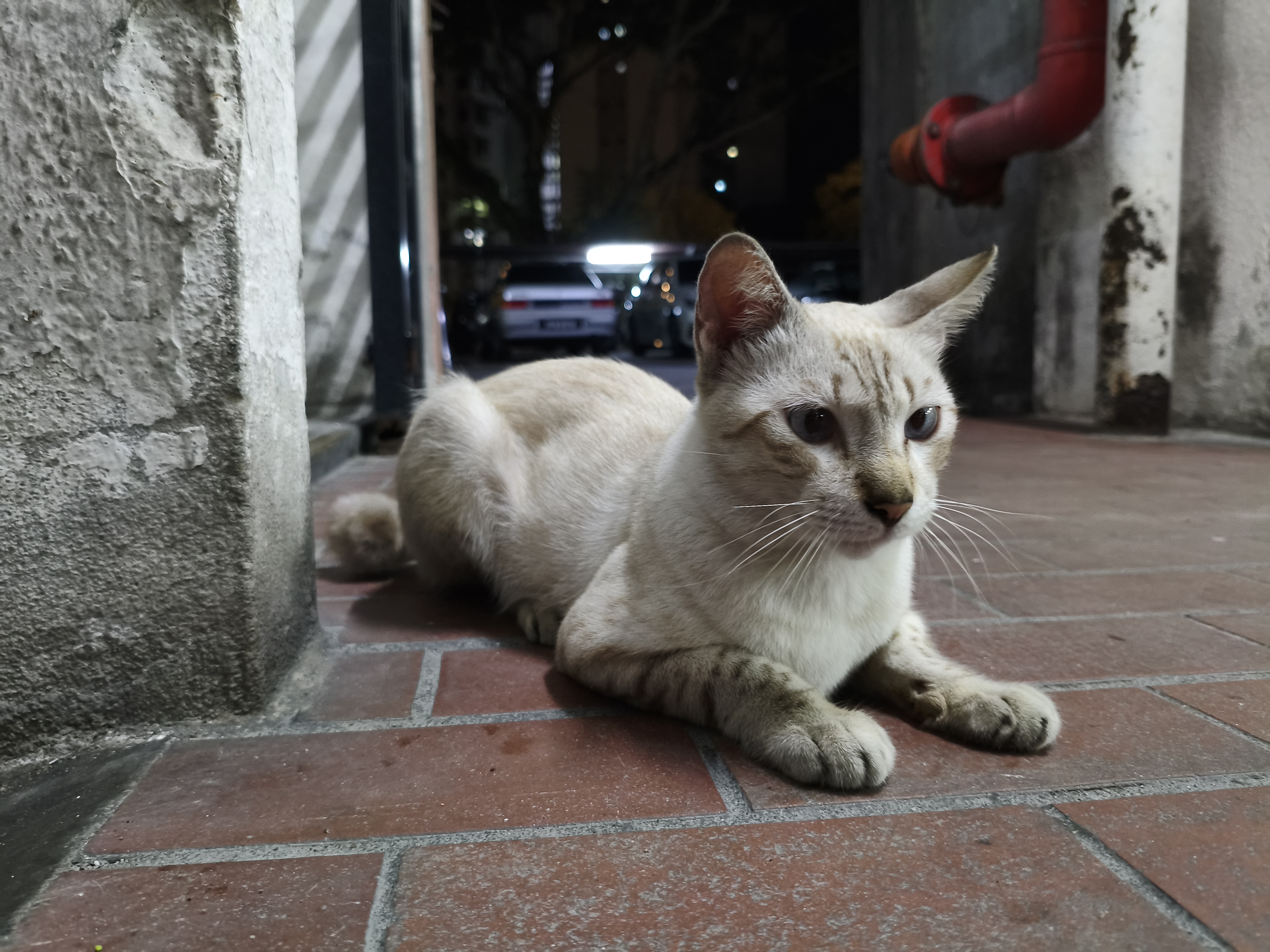Casper