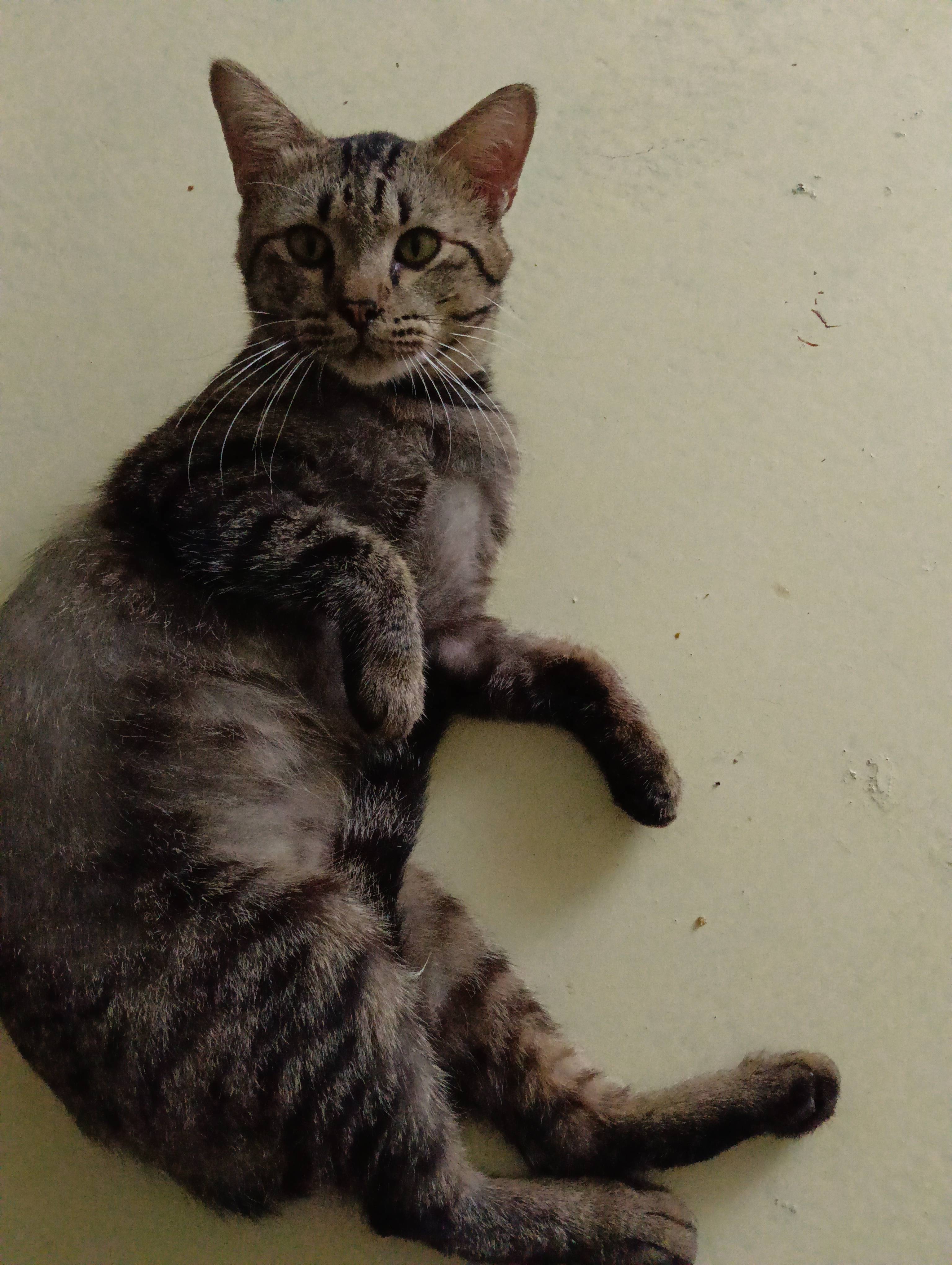 Belang
