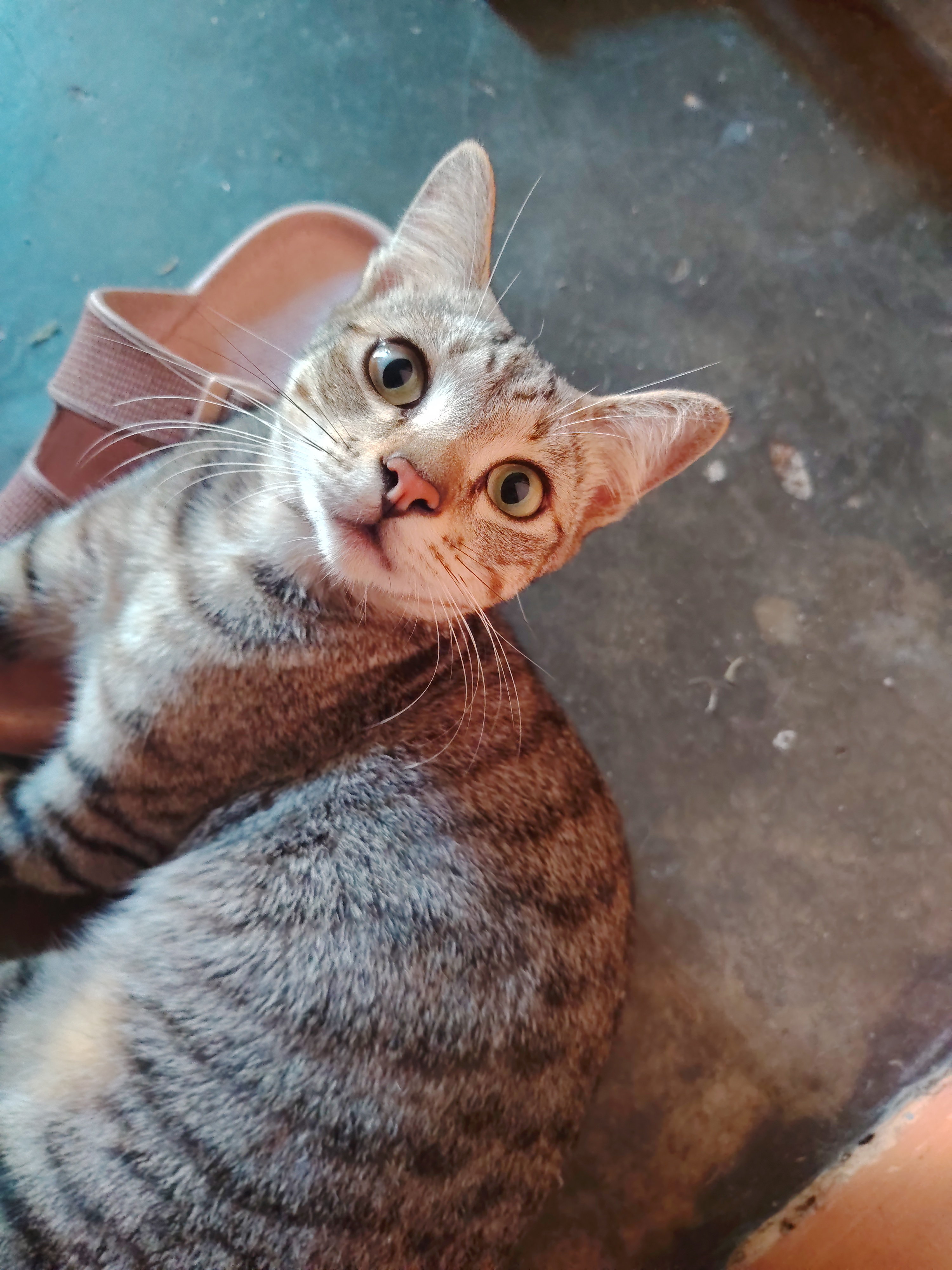 Belang
